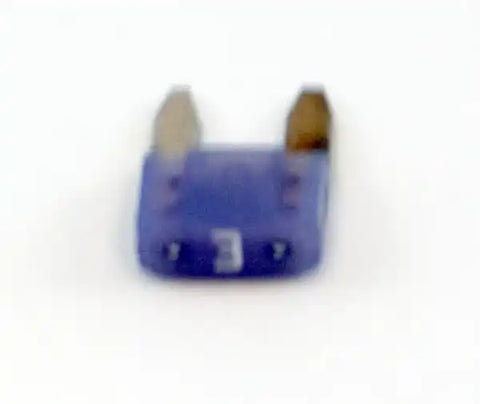 17255.06.jpg