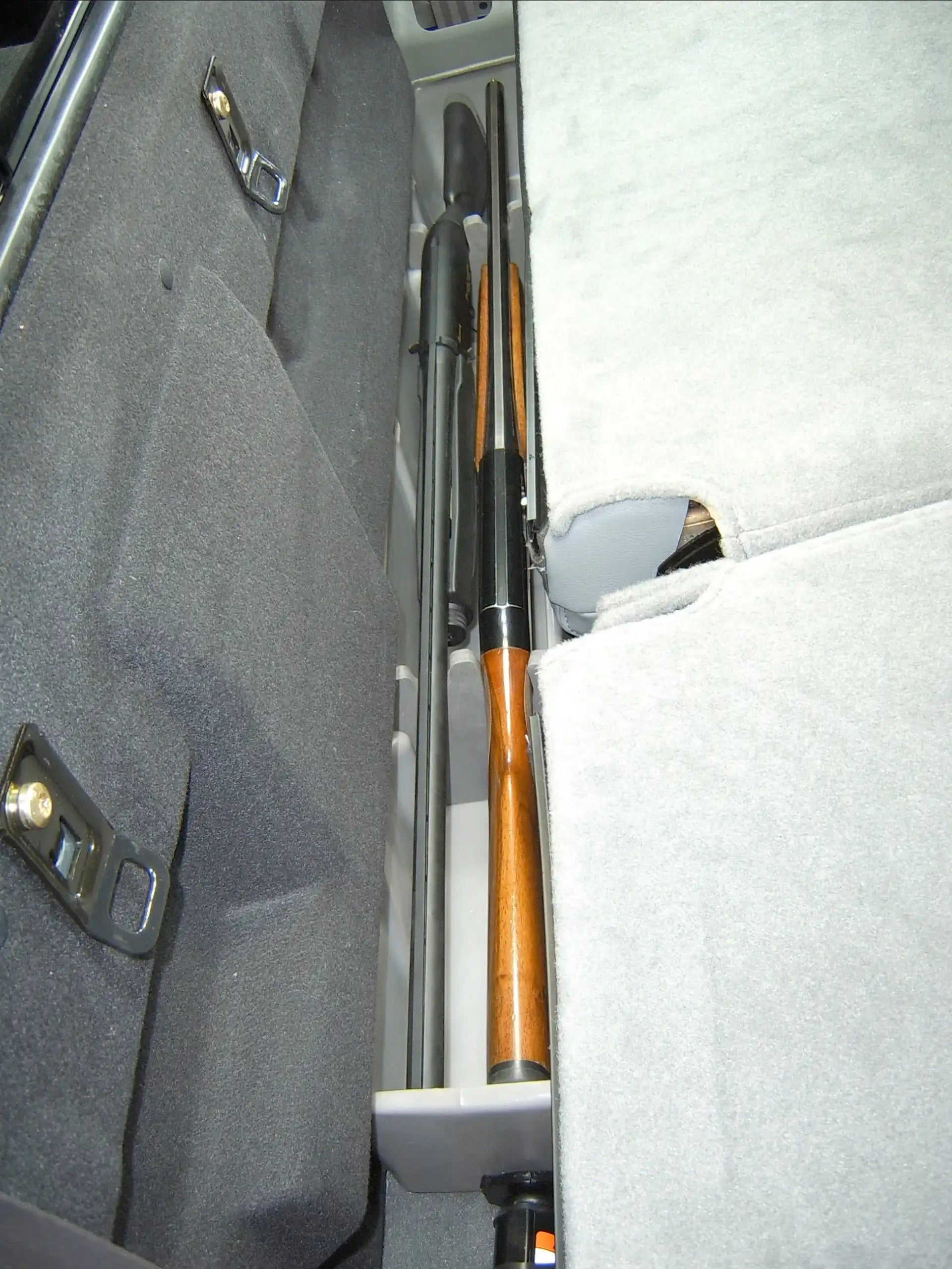 20025_v8.jpg