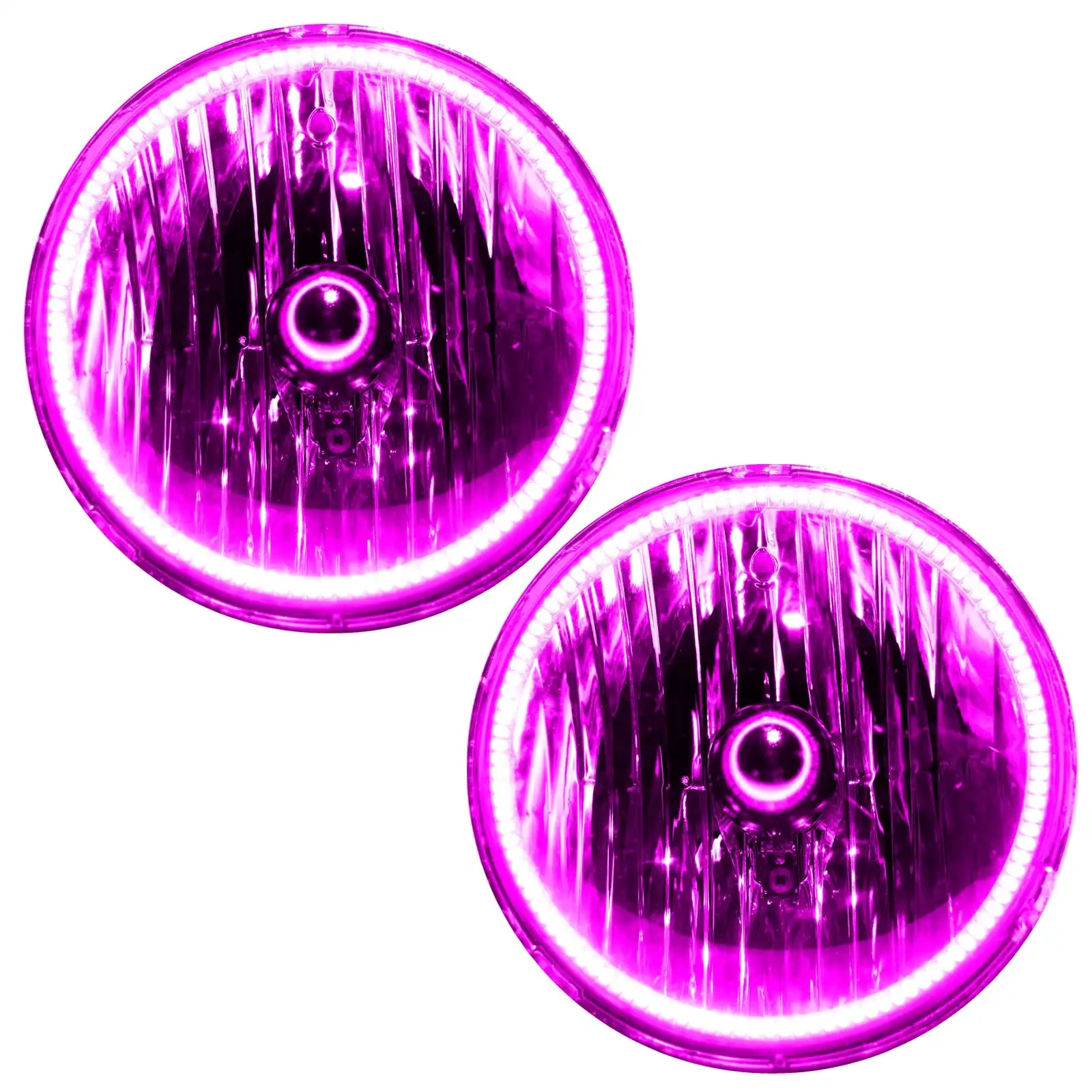 2665-009_C.jpg