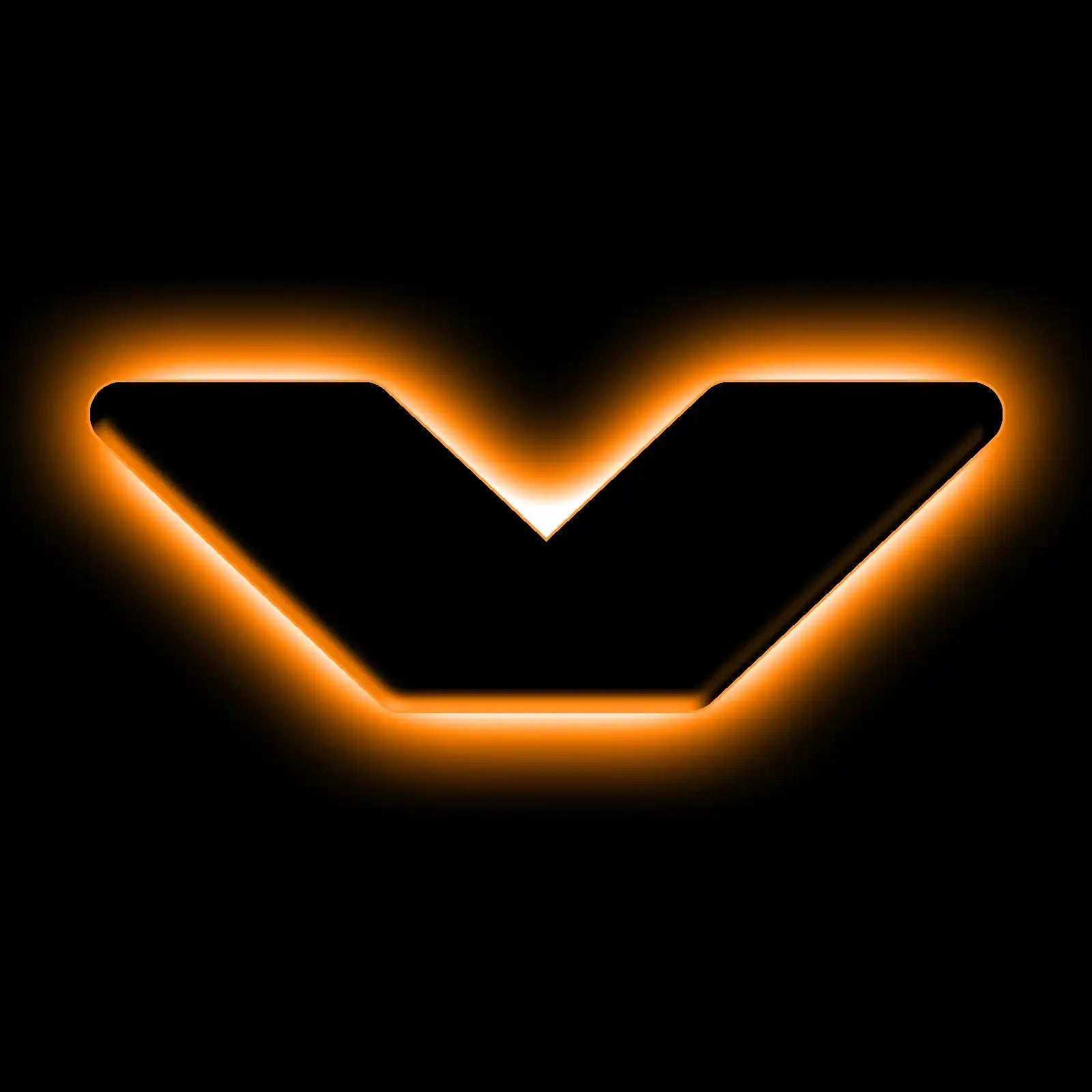 3141-V-005_AA.jpg