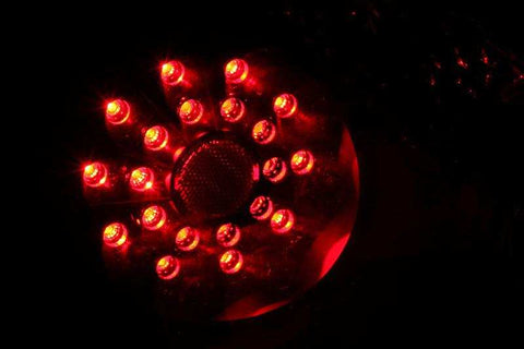 321194_2.jpg