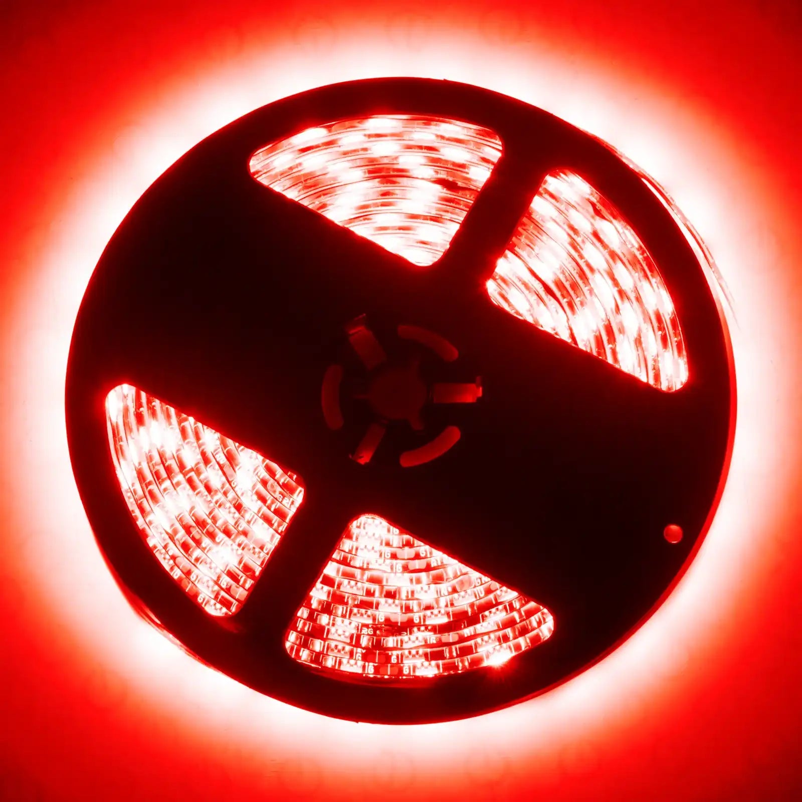 3802-003_B.jpg