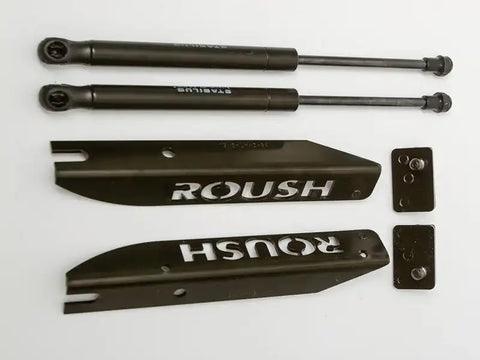 421236_hood_strut_kit.jpg