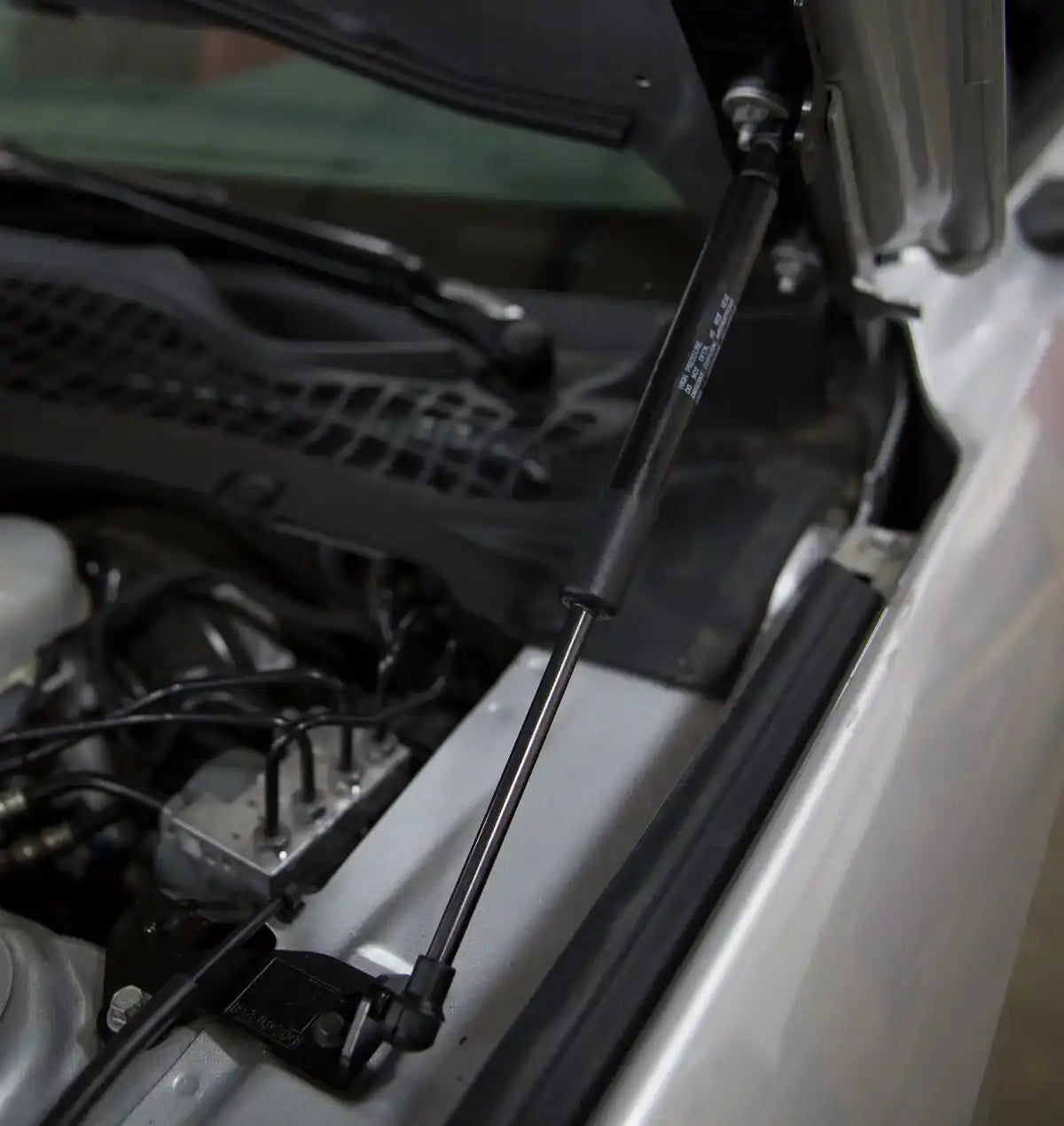 422043_hood_strut_kit_2.jpg