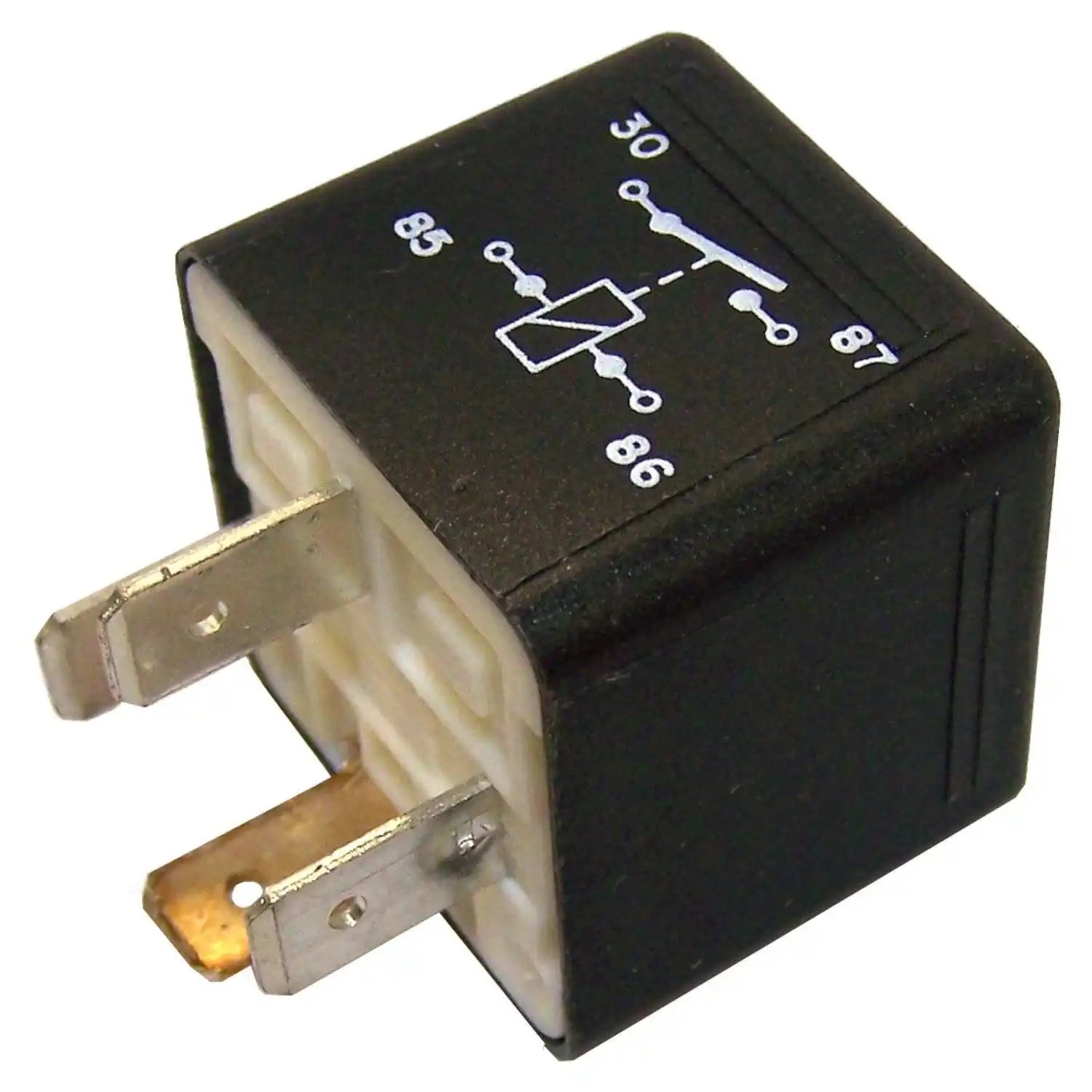 4504215.jpg
