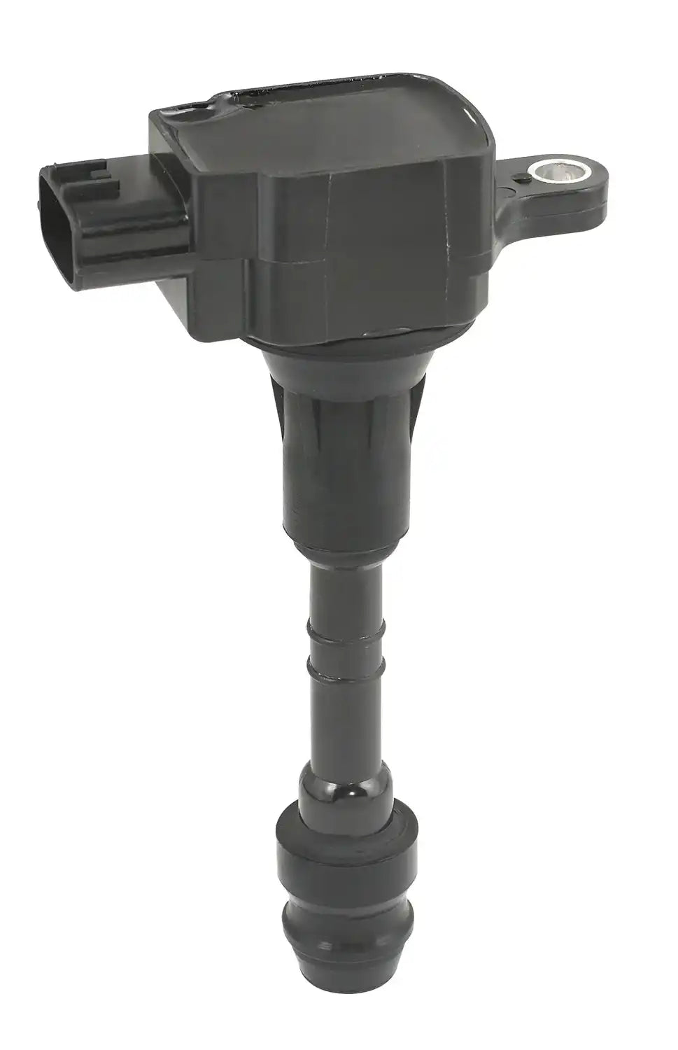 450510.jpg