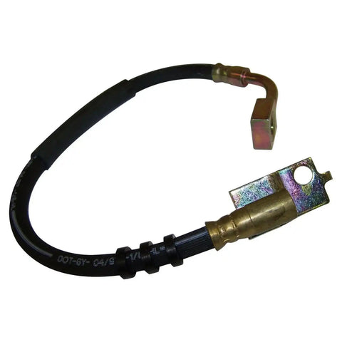 52007586.jpg