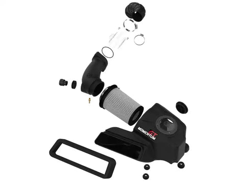 aFe 50-70088D Momentum GT Pro DRY S Cold Air Intake System 18-21 Volkswagen Tiguan L4-2.0L (t)