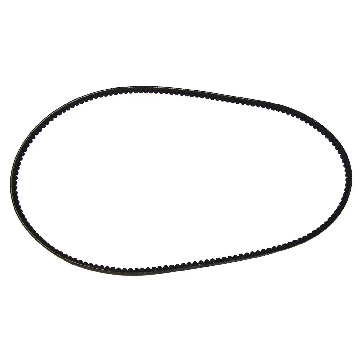 53000825.jpg