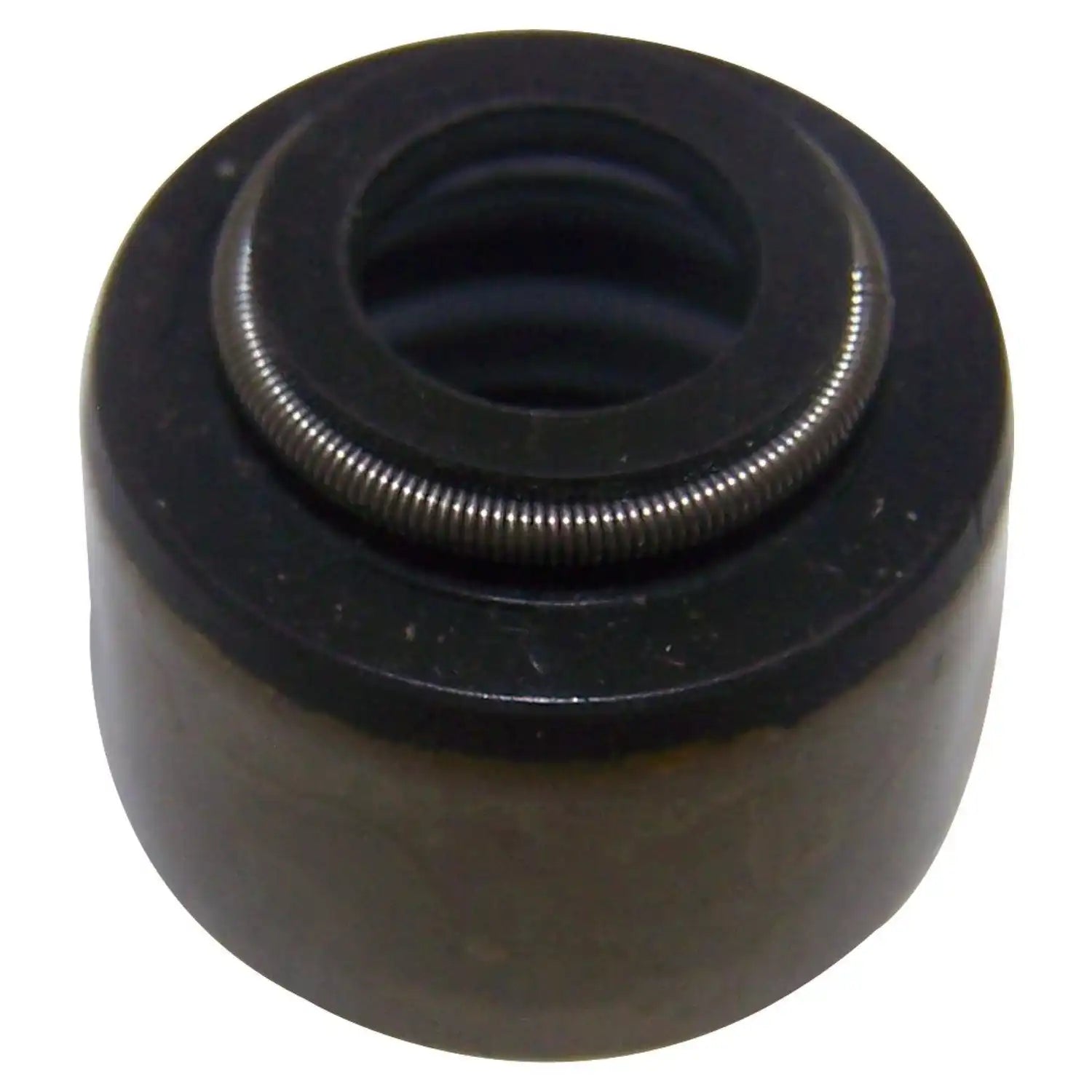 53009886.jpg