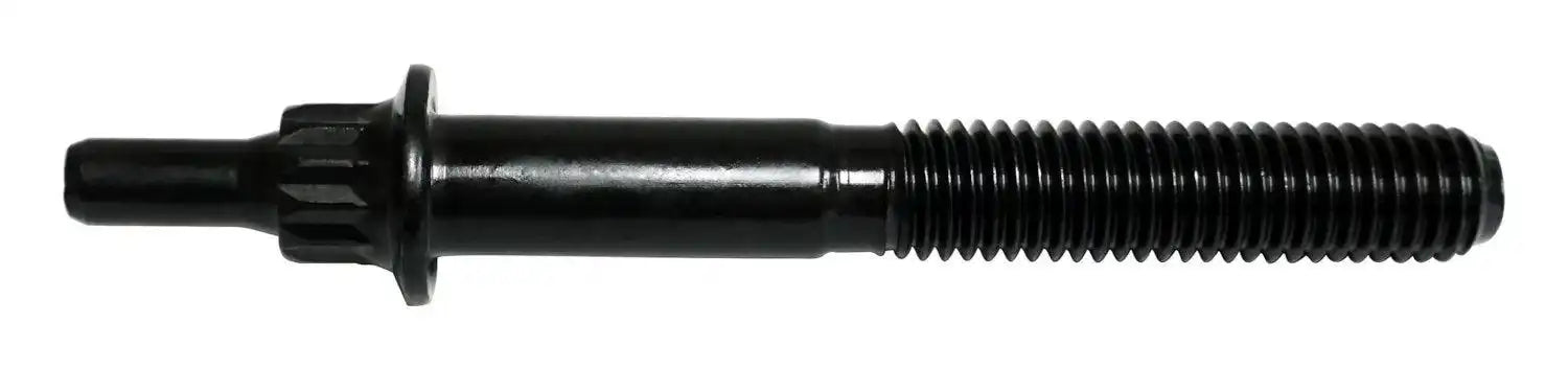 6035515.jpg