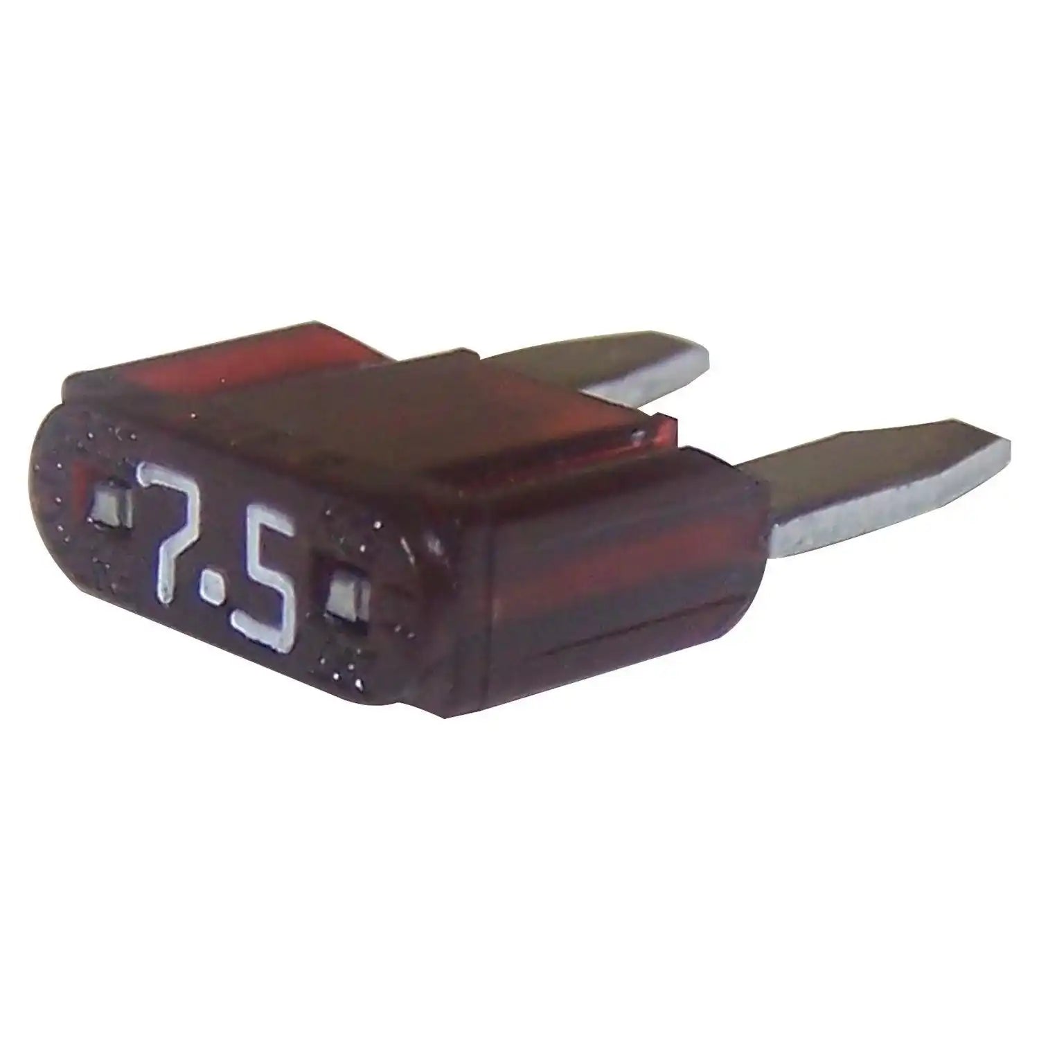 6101485.jpg