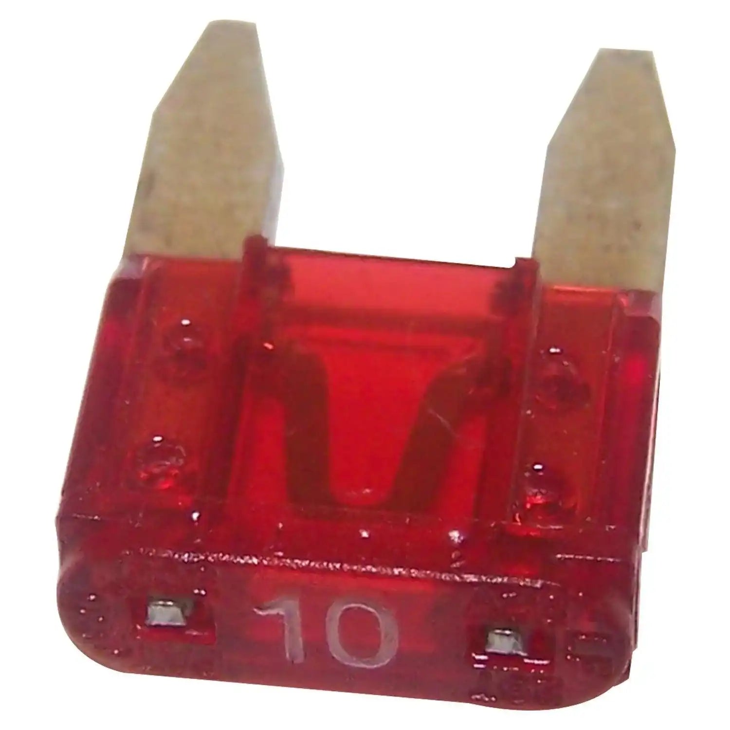 6101486.jpg
