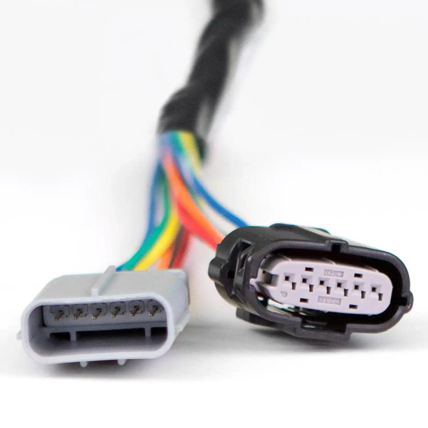64342_Harness_Close_Up_web.jpg