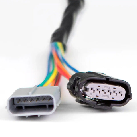 64342_Harness_Close_Up_web.jpg