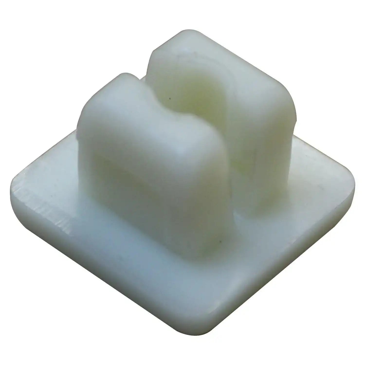 6501773.jpg