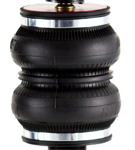 75553_v3_20120101.jpg