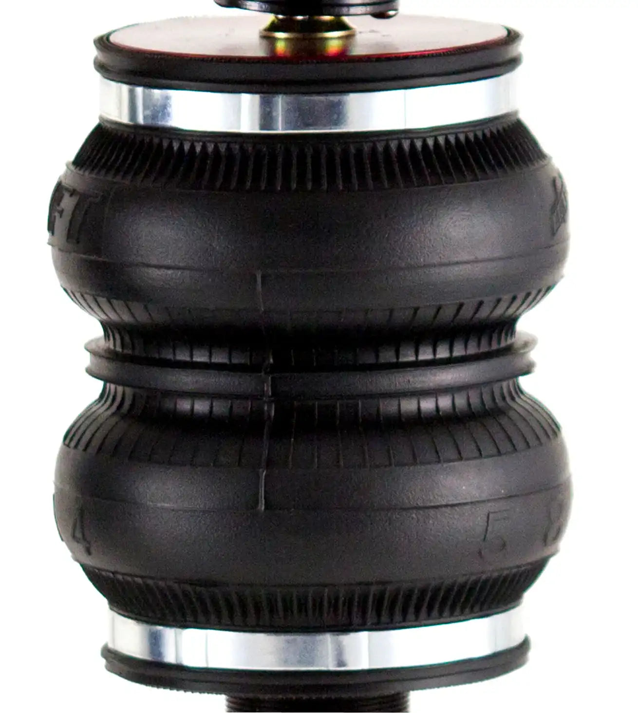 75554_v3_20120101.jpg