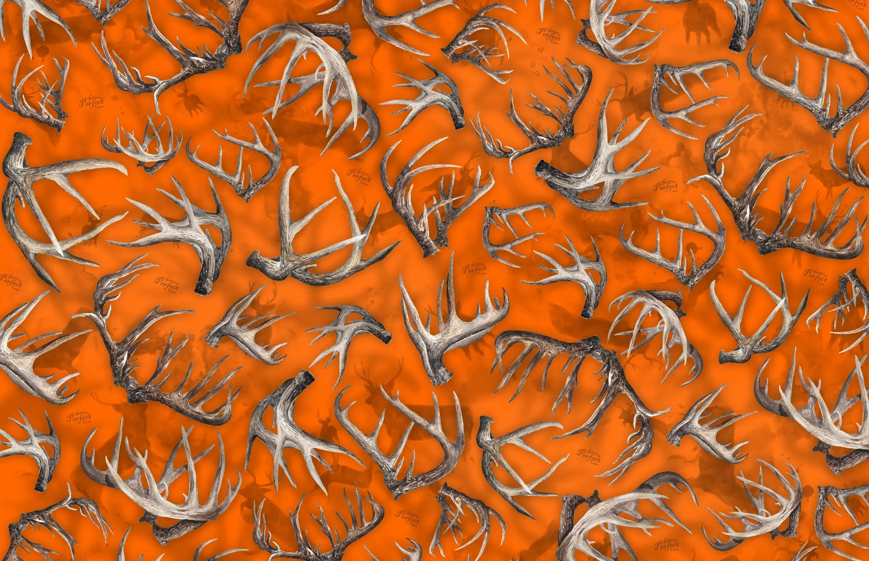 90521_v7.jpg