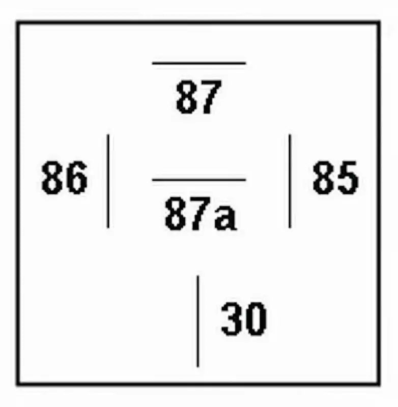 933332057.PT60.jpg
