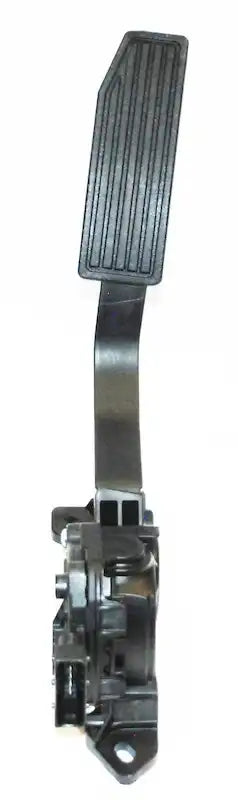 933902781.FRONT.jpg
