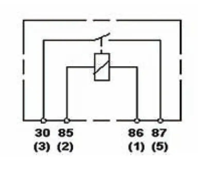 965400031.PT50.jpg