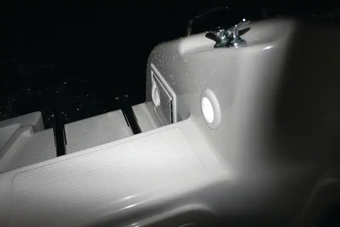980502257.PT39.jpg
