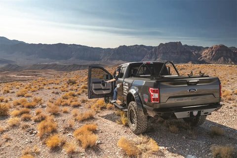 AMP_Smart-Series-Power-Step_Ford-F150_SEMA_04.jpg