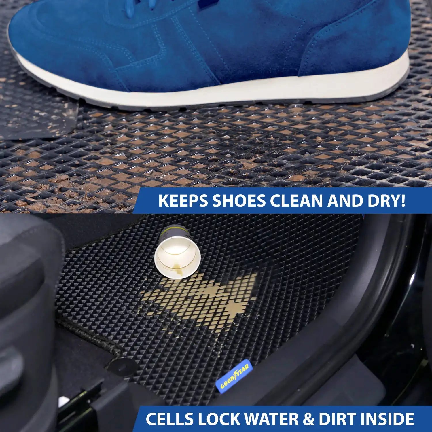 GY004201_4.jpg