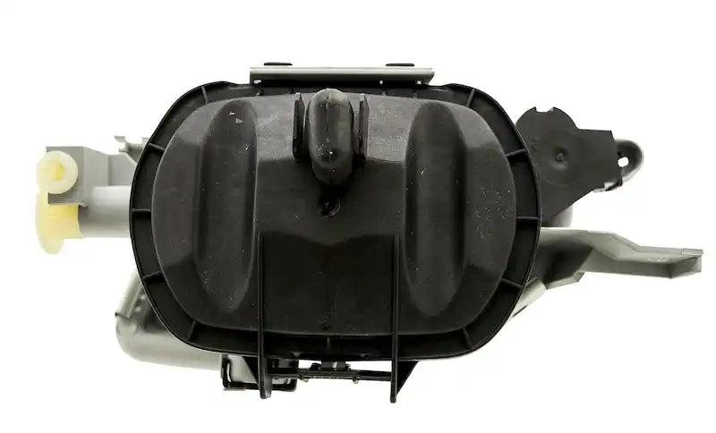 H12555021.BACK.jpg
