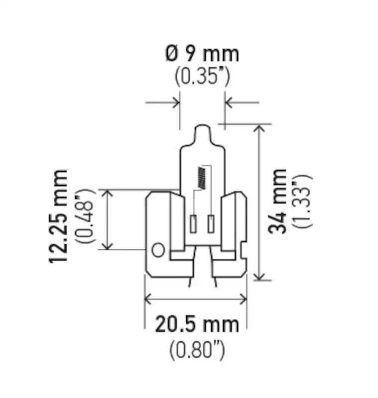 H2 100W.PT01.jpg