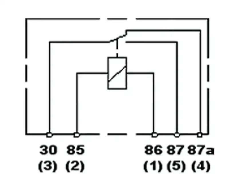 H41388461.PT50.jpg
