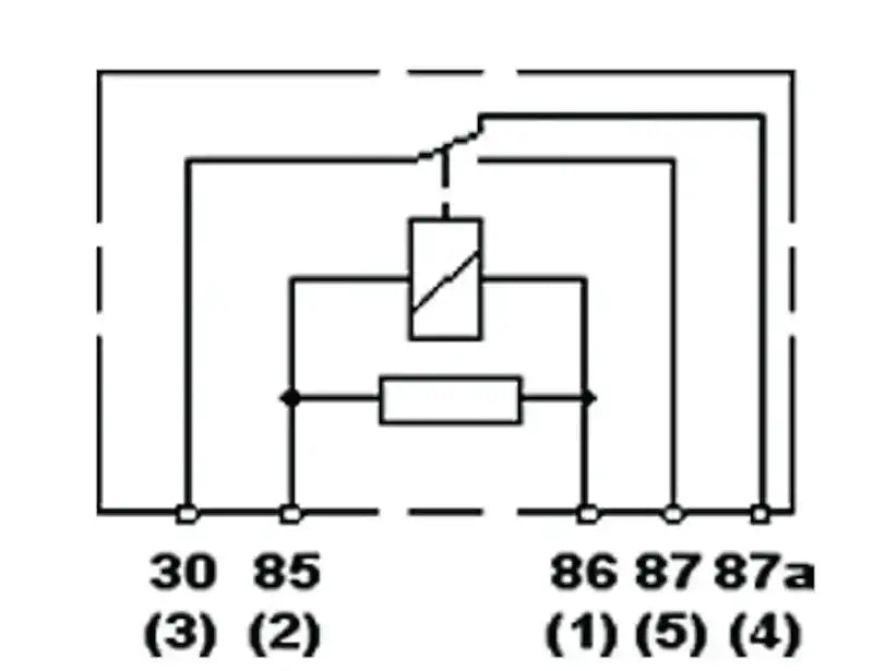 H41388491.PT50.jpg