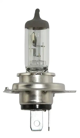 H4 100_55W.MAIN.jpg
