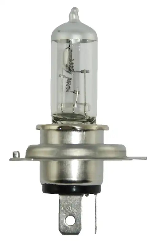 H4 24V DP.MAIN.jpg
