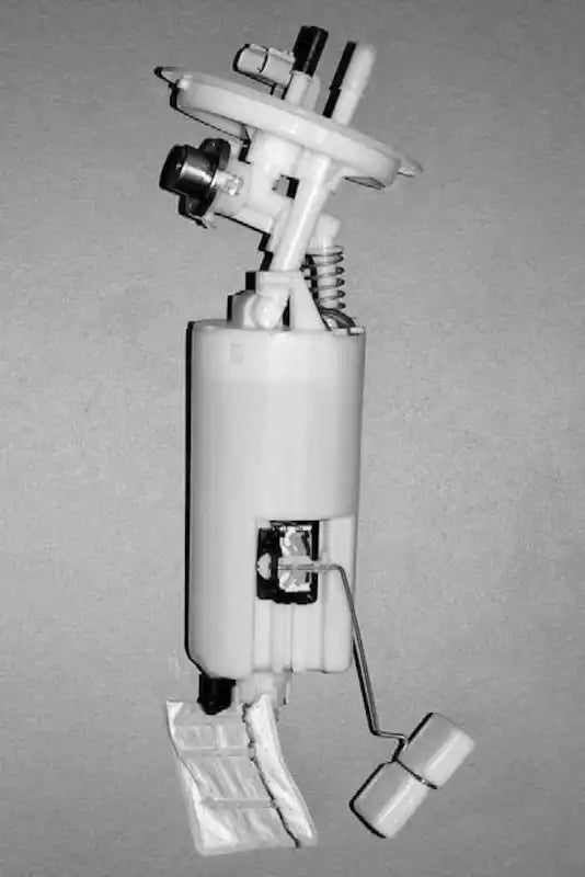 H75030101.MAIN.jpg