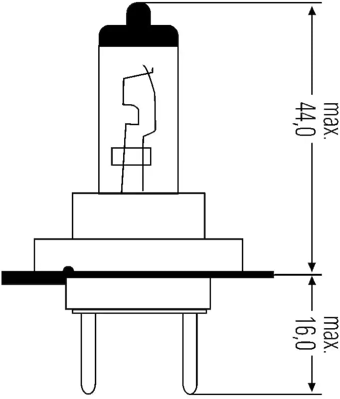 H83145101.PT01.jpg