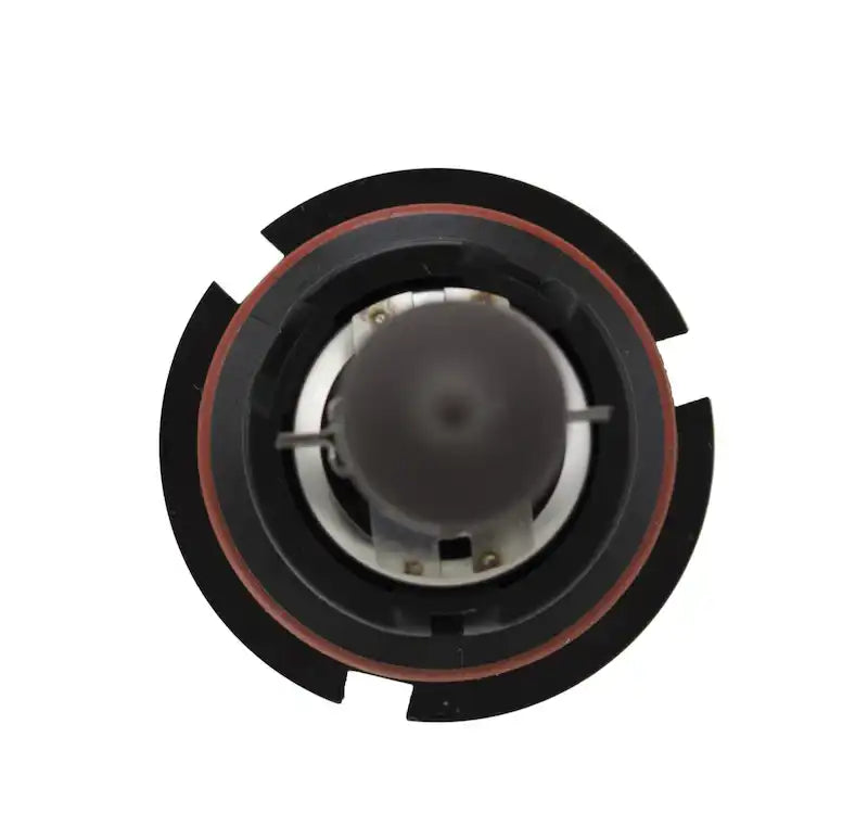 H83155091.TOPP.jpg
