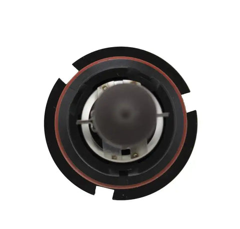 H83155091.TOPP.jpg