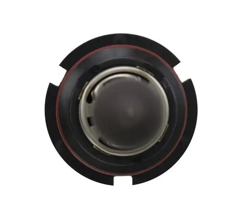 H83175001.TOPP.jpg