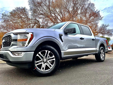 ICI T4011-304M Rocker Panel Molding