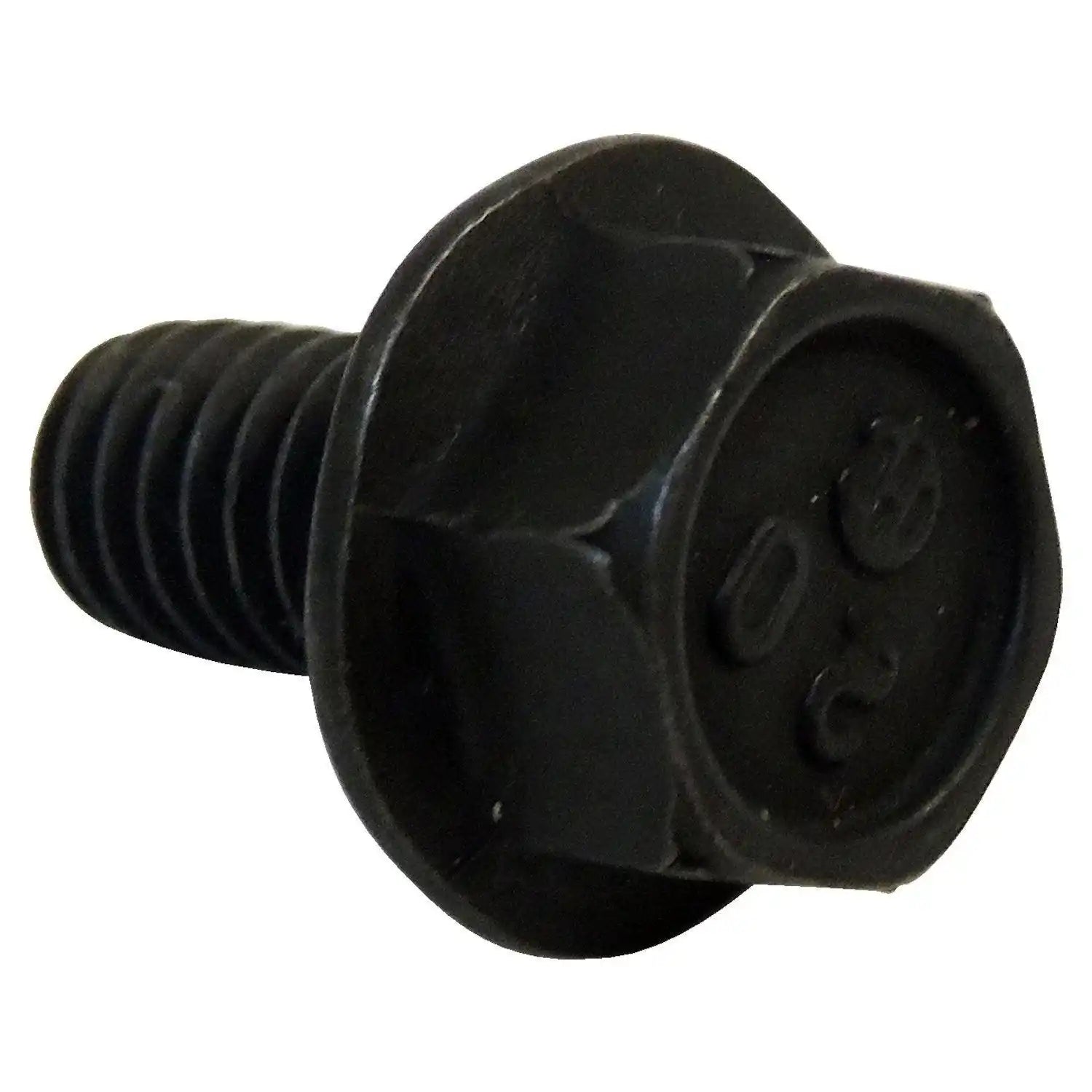 J0273573.jpg