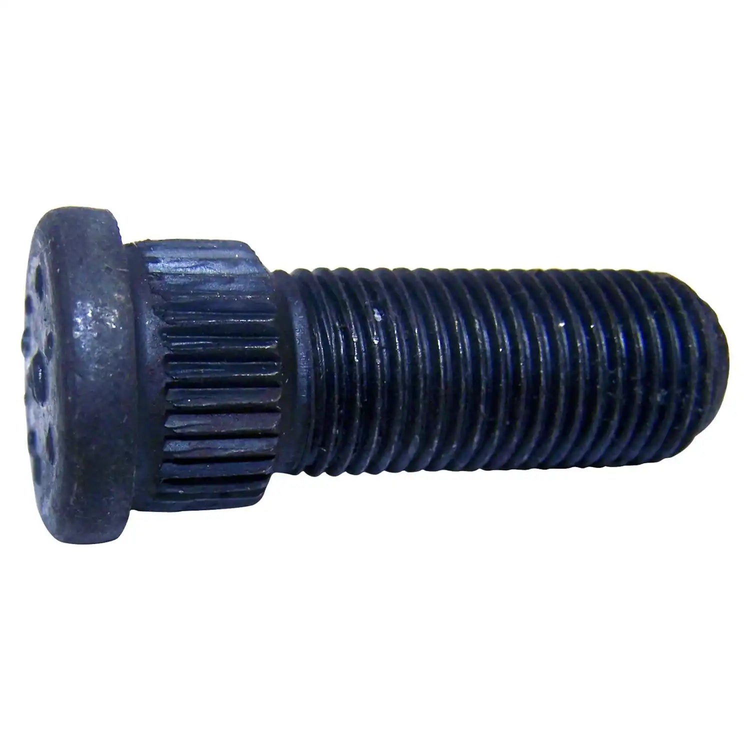 J5353025.jpg
