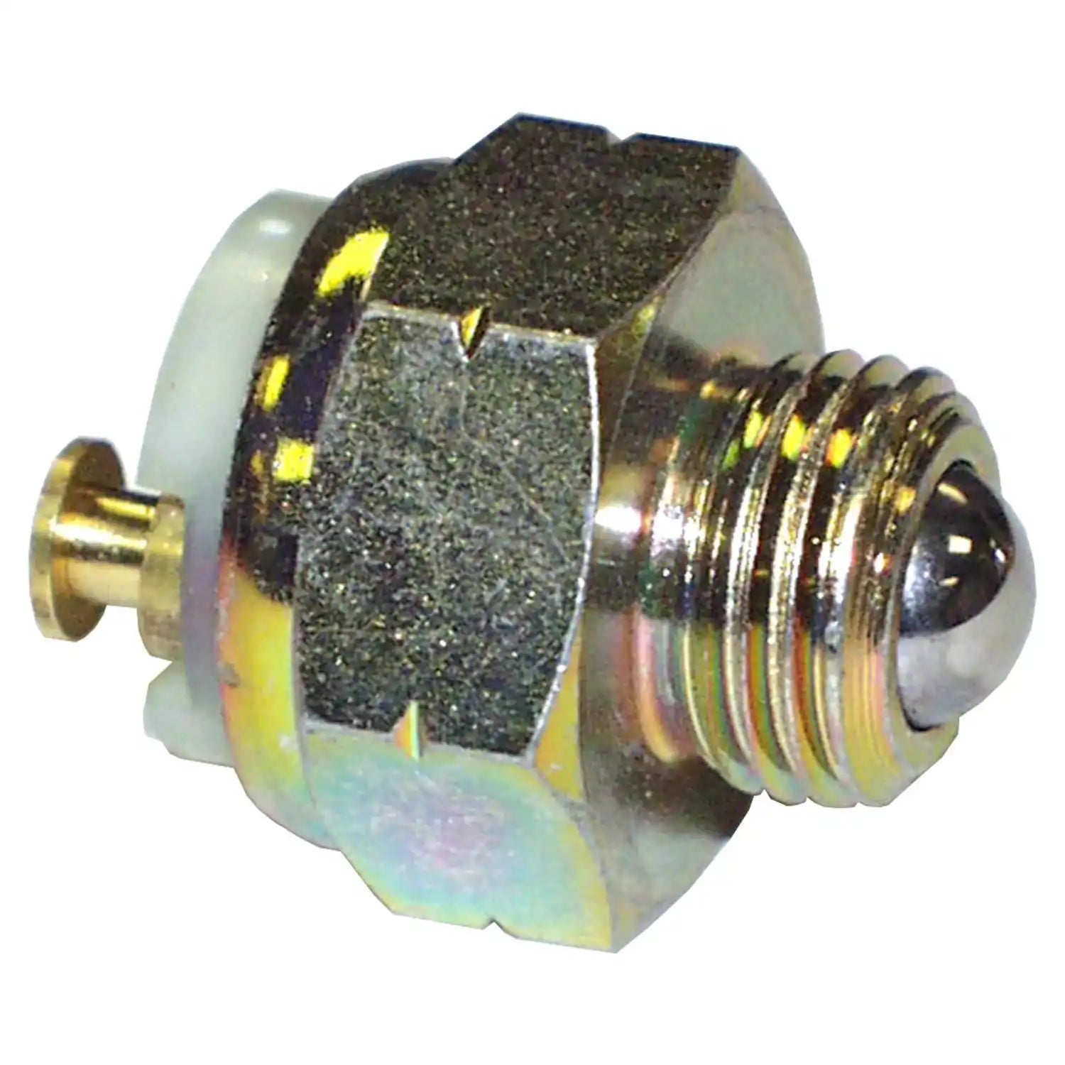 J8130829.jpg