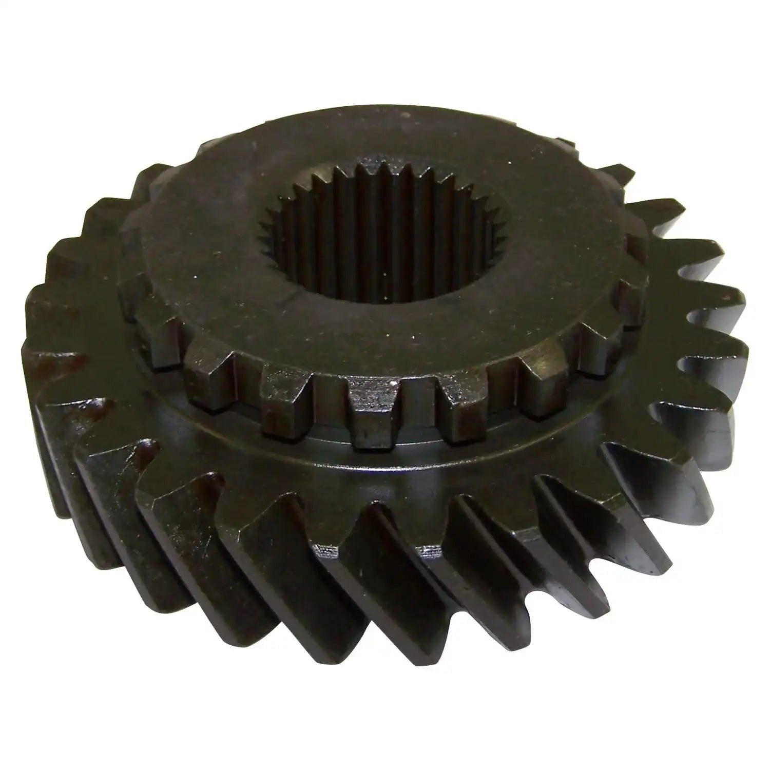 J8131685.jpg