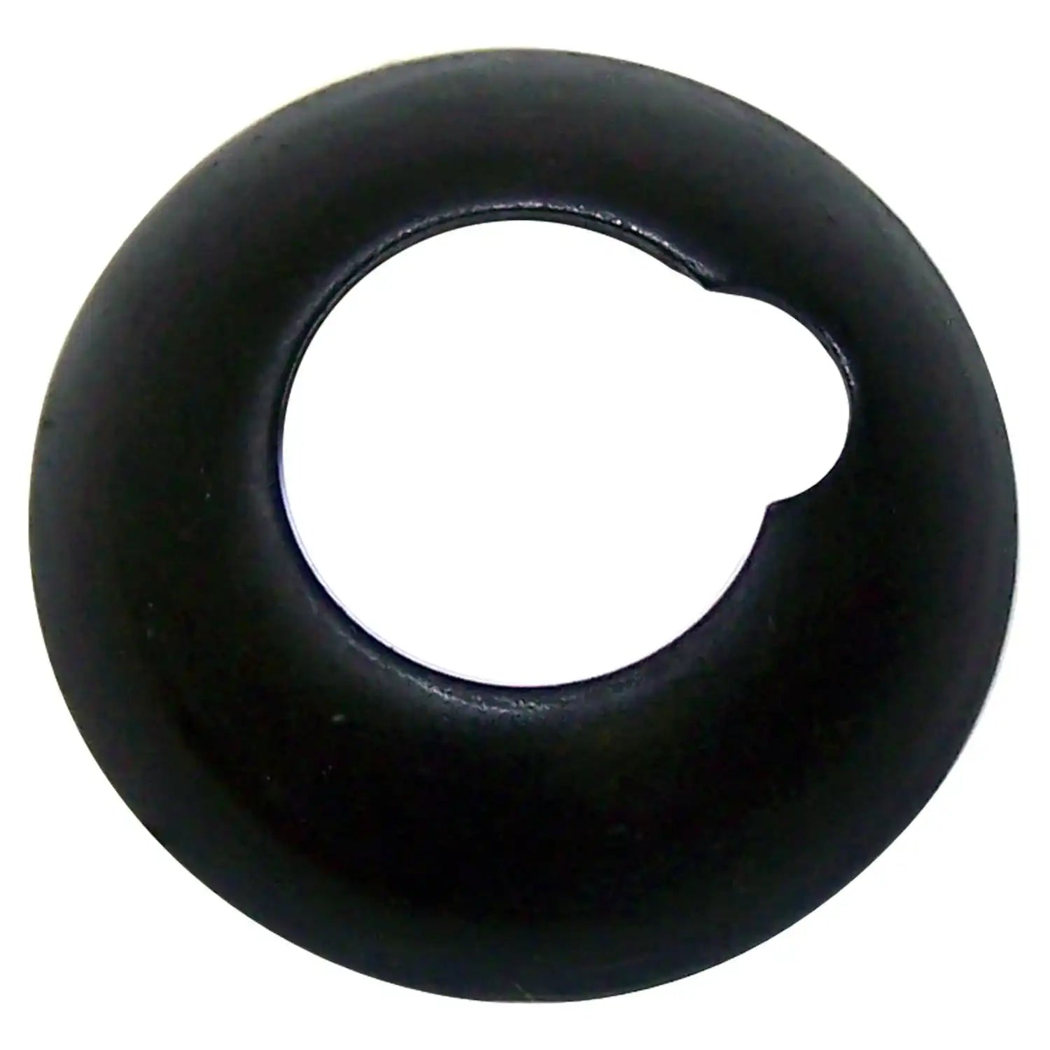 J8132420.jpg