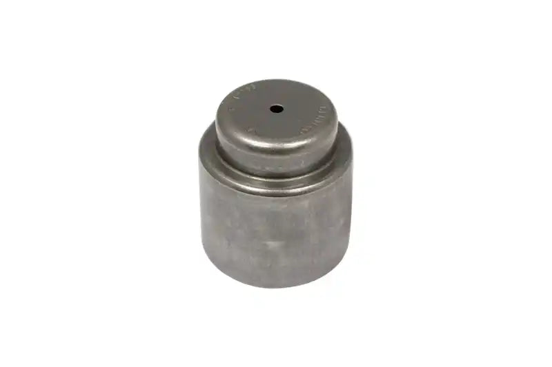 PB1009.jpg