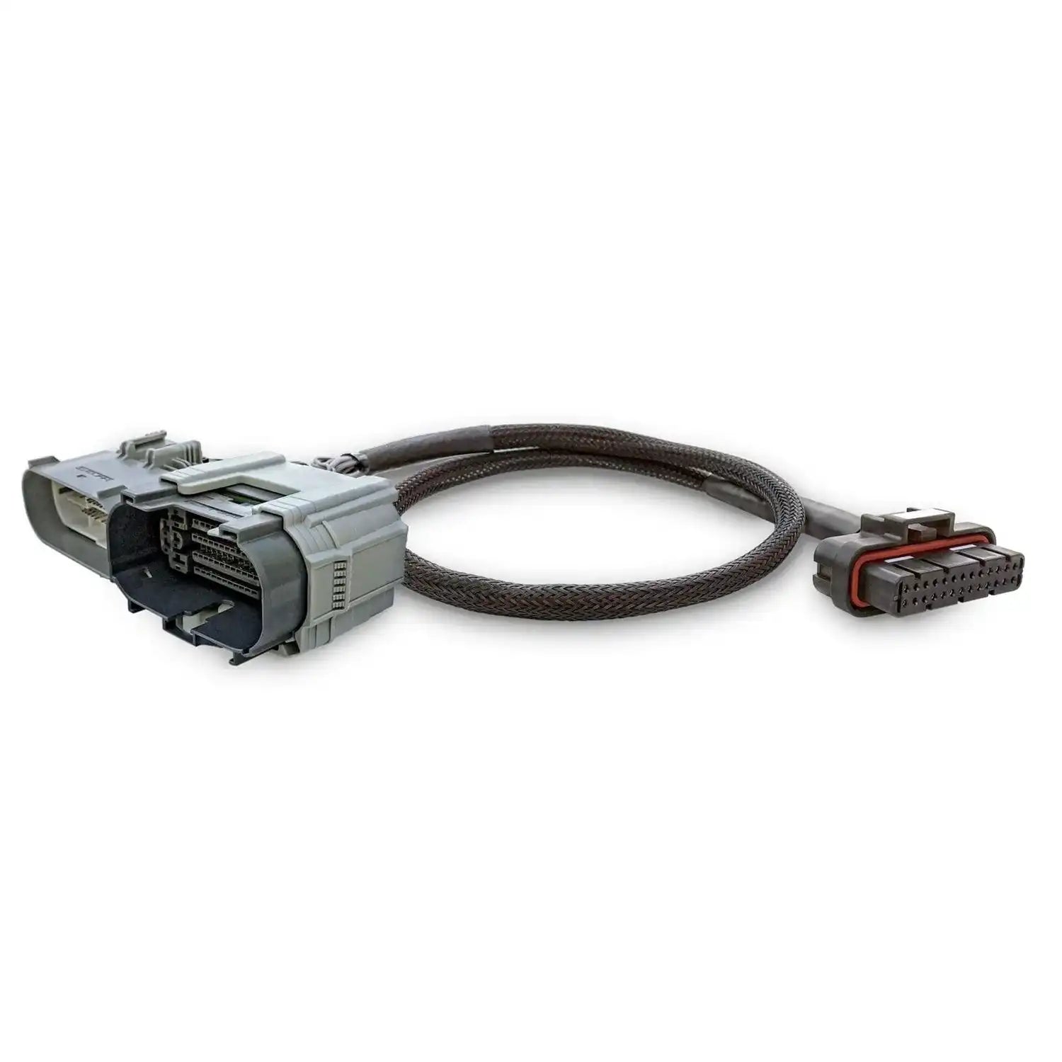 PulsarLT_Harness_01_pdp.jpg