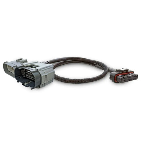 PulsarLT_Harness_01_pdp.jpg