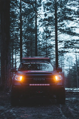 RIGID-ADAPT-13.jpg